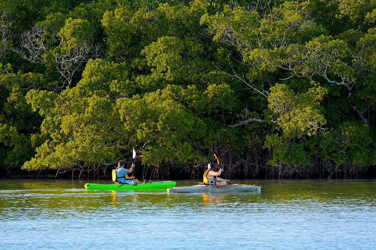 two people paddle kayaks along the Florida coast