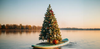 christmas tree on a paddleboard