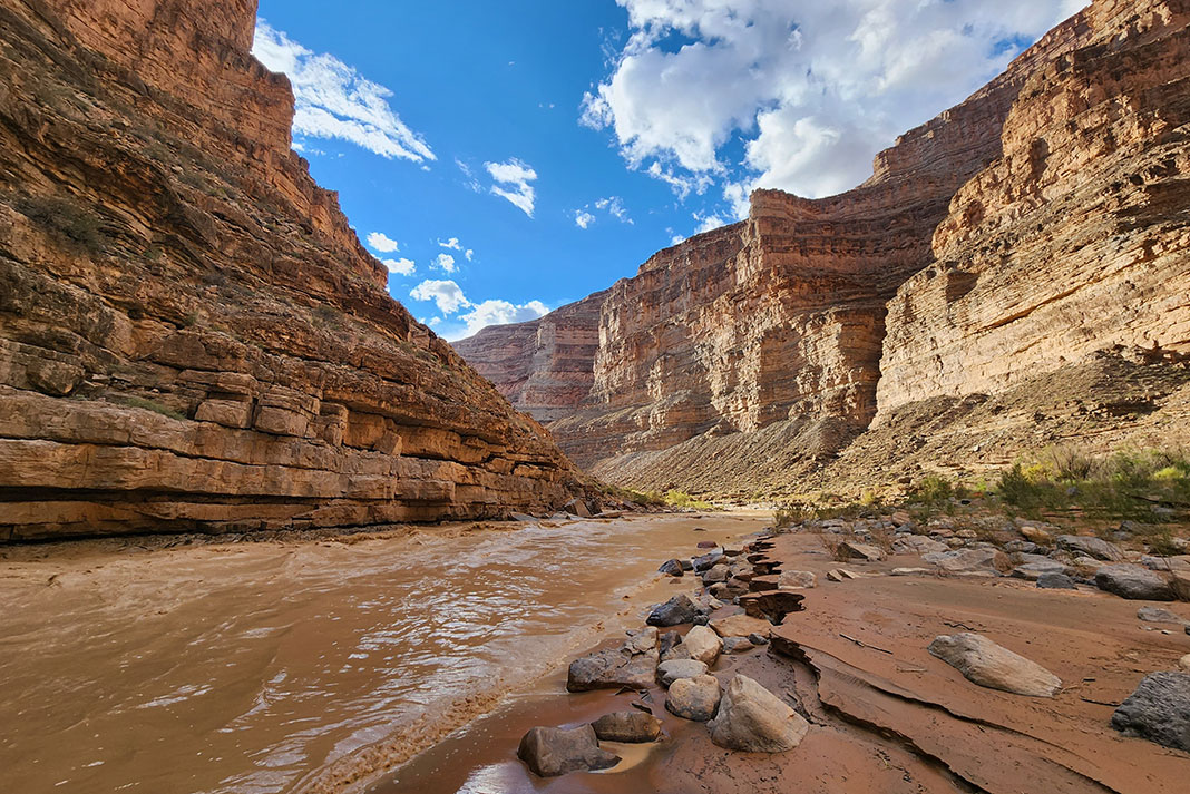 a view of the sandy, rocky San Juan River from the river bank