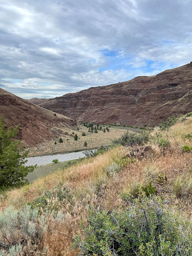 The grassy banks of the John Day River in its rocky canyon