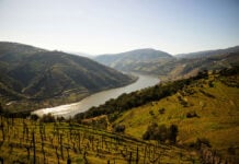 the Douro River in Portugal