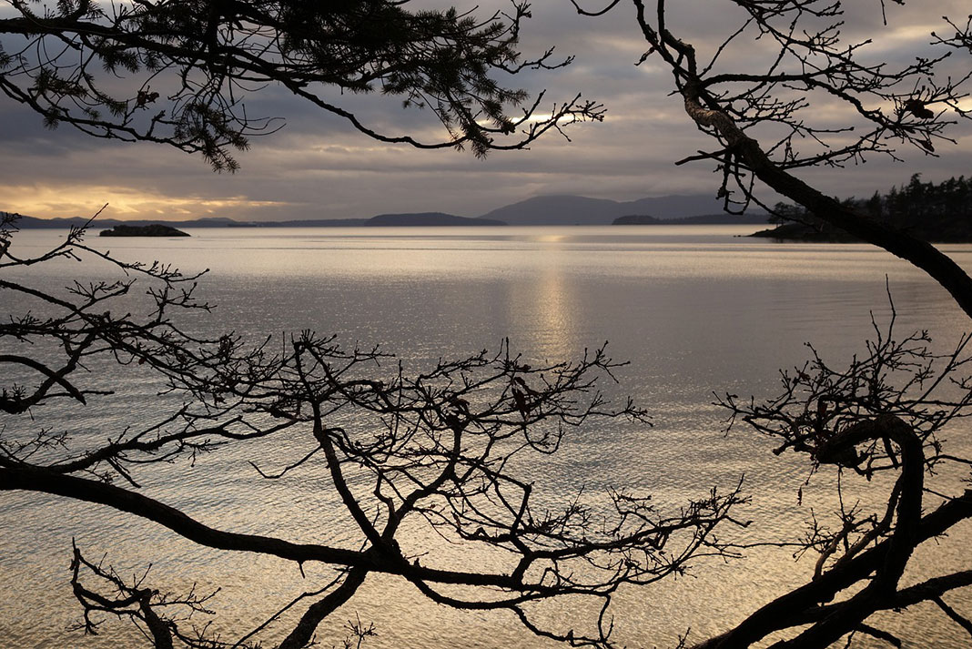 a view of the San Juan Islands in Washington State