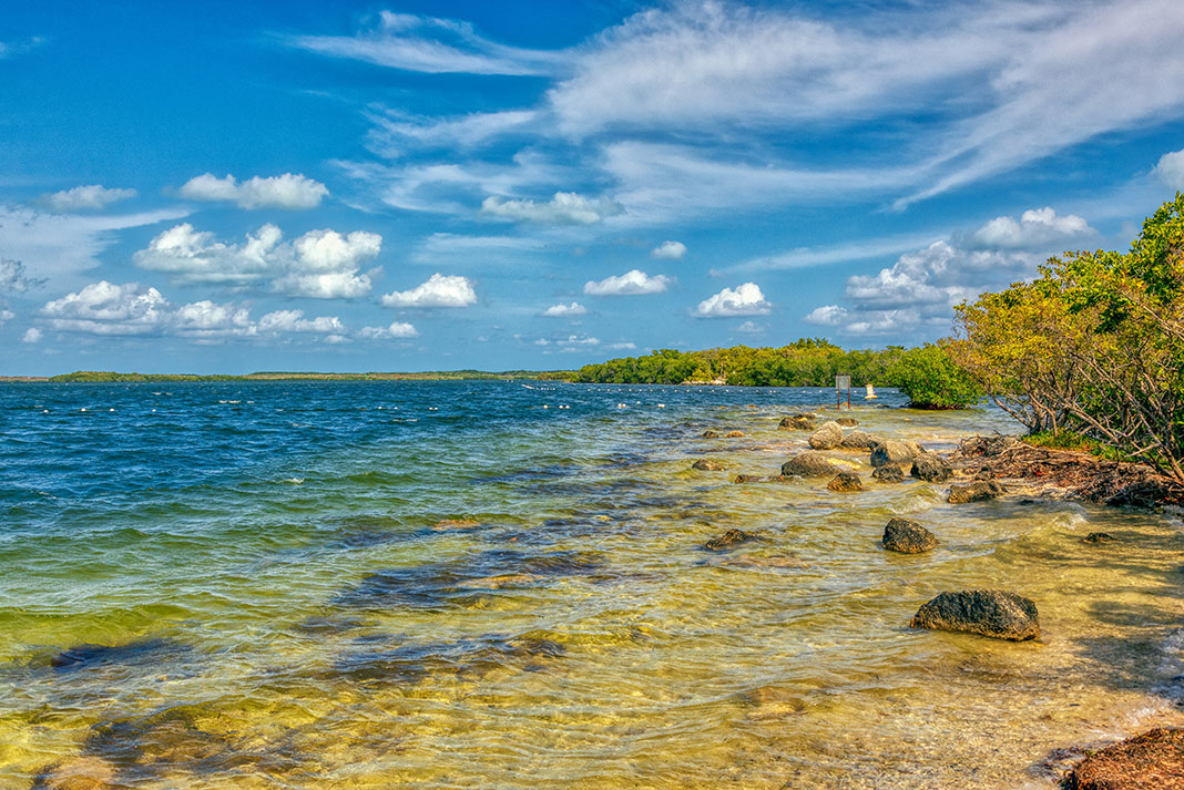 clear waters in the Florida Keys