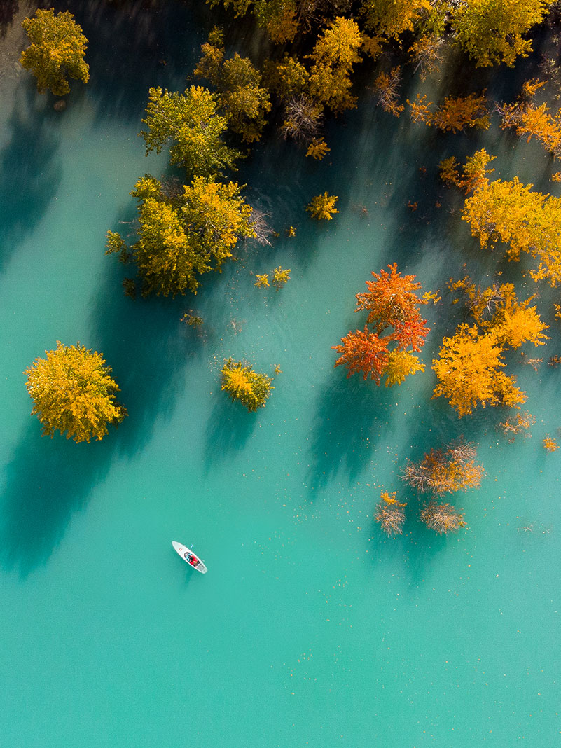 overhead photo of an electric SUP being paddled on brilliant turquoise waters near bright yellow tamarack trees in fall