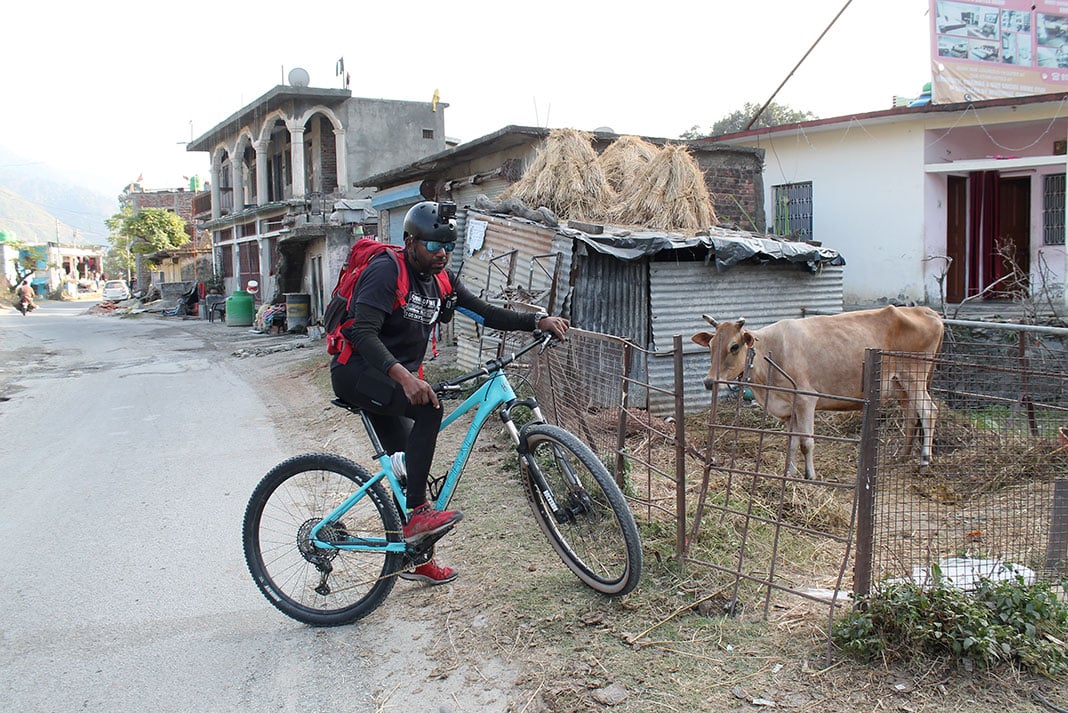 Man on bicycle poses beside small town cow pen in India