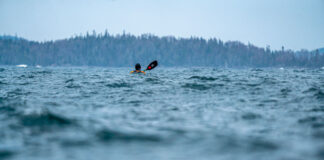 kayaker paddles through heavy seas on a rainy day