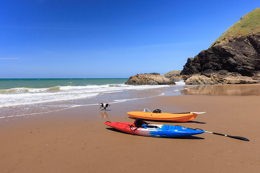 small dog runs toward two kayaks on a sandy beach