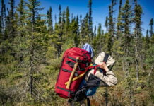 a person carries a canoe pack through buggy boreal forest with help from a tumpline