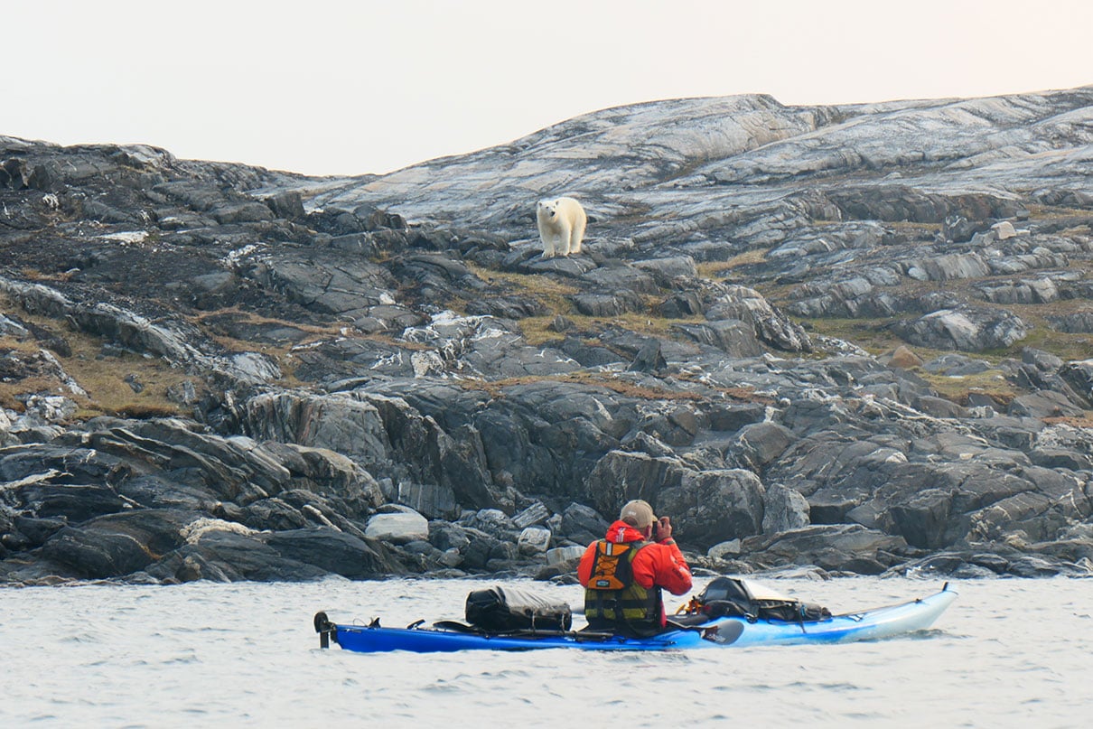 Frank snaps a photo of the first polar bear we saw