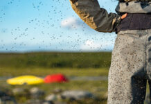 person stands in drysuit with hands on hips while swarmed by blackflies with northern landscape and blurry canoes in background