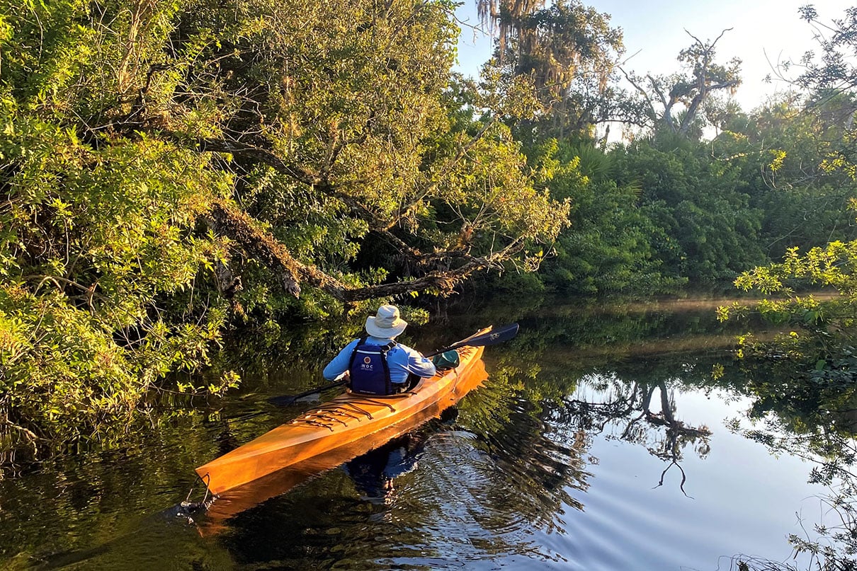 man kayaks through mangrove swamps in Florida