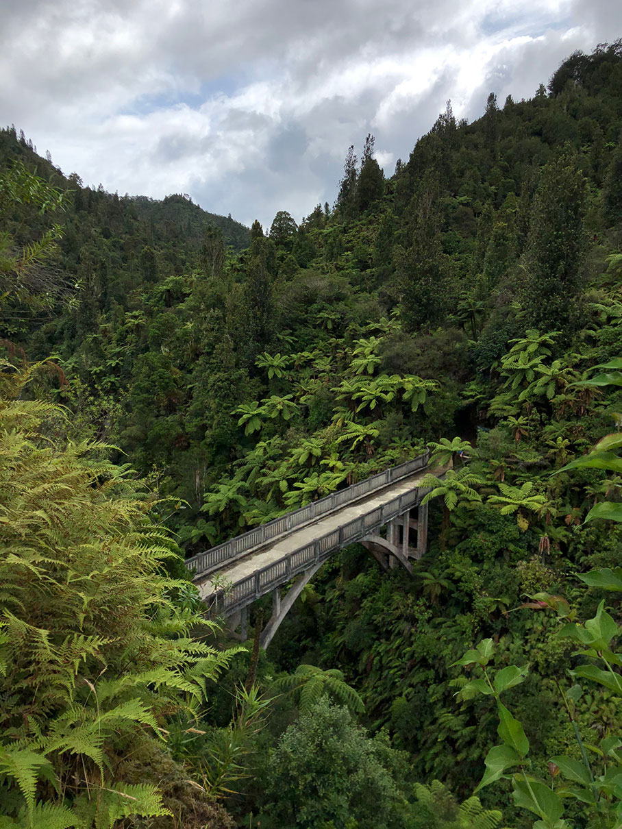 dramatic bridge surrounded by lush foliage in New Zealand