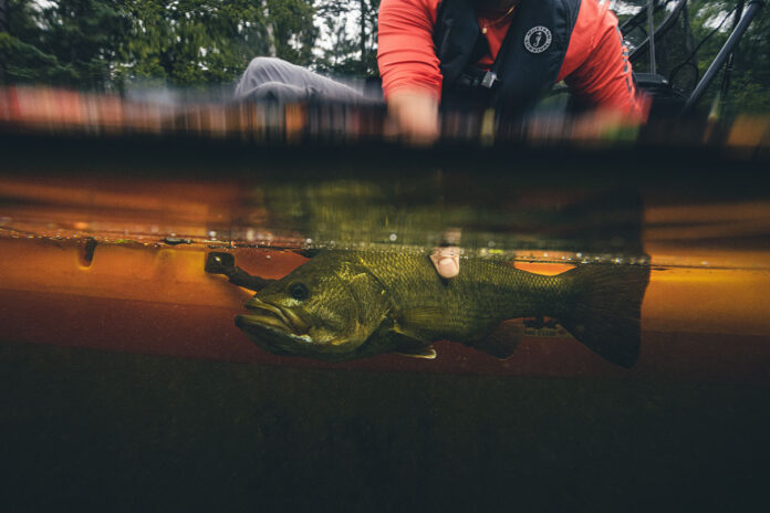 underwater photo of angler handling fish below water's surface by side of fishing kayak