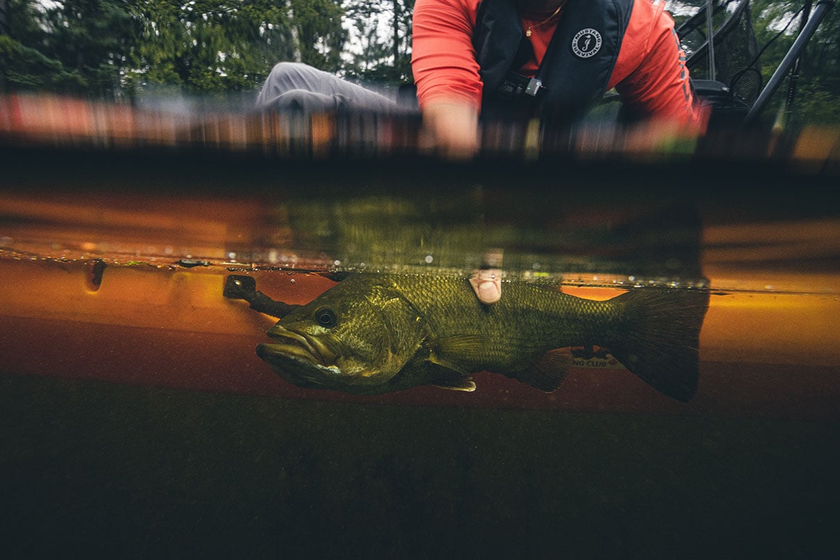 underwater photo of angler handling fish below water's surface by side of fishing kayak
