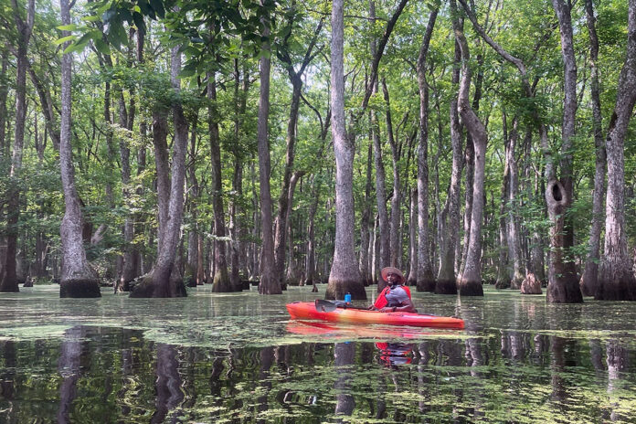 Lesford Duncan on Ebeneezer Creek, Georgia