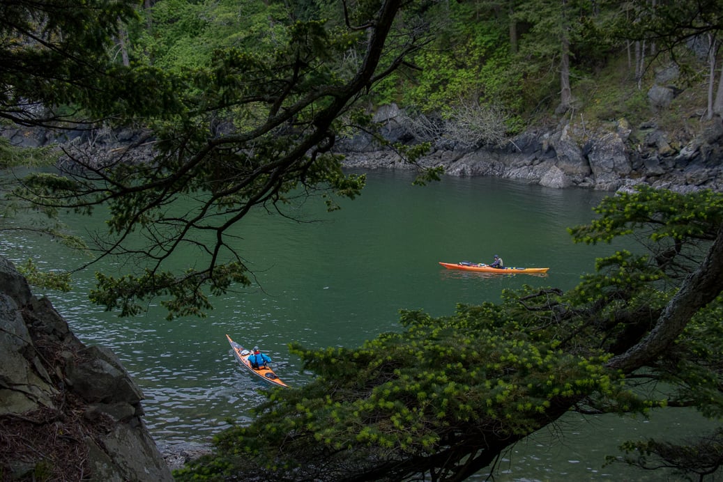 Sea kayaking trips in the San Juan Islands cancelled in wake of REI closing Experiences business