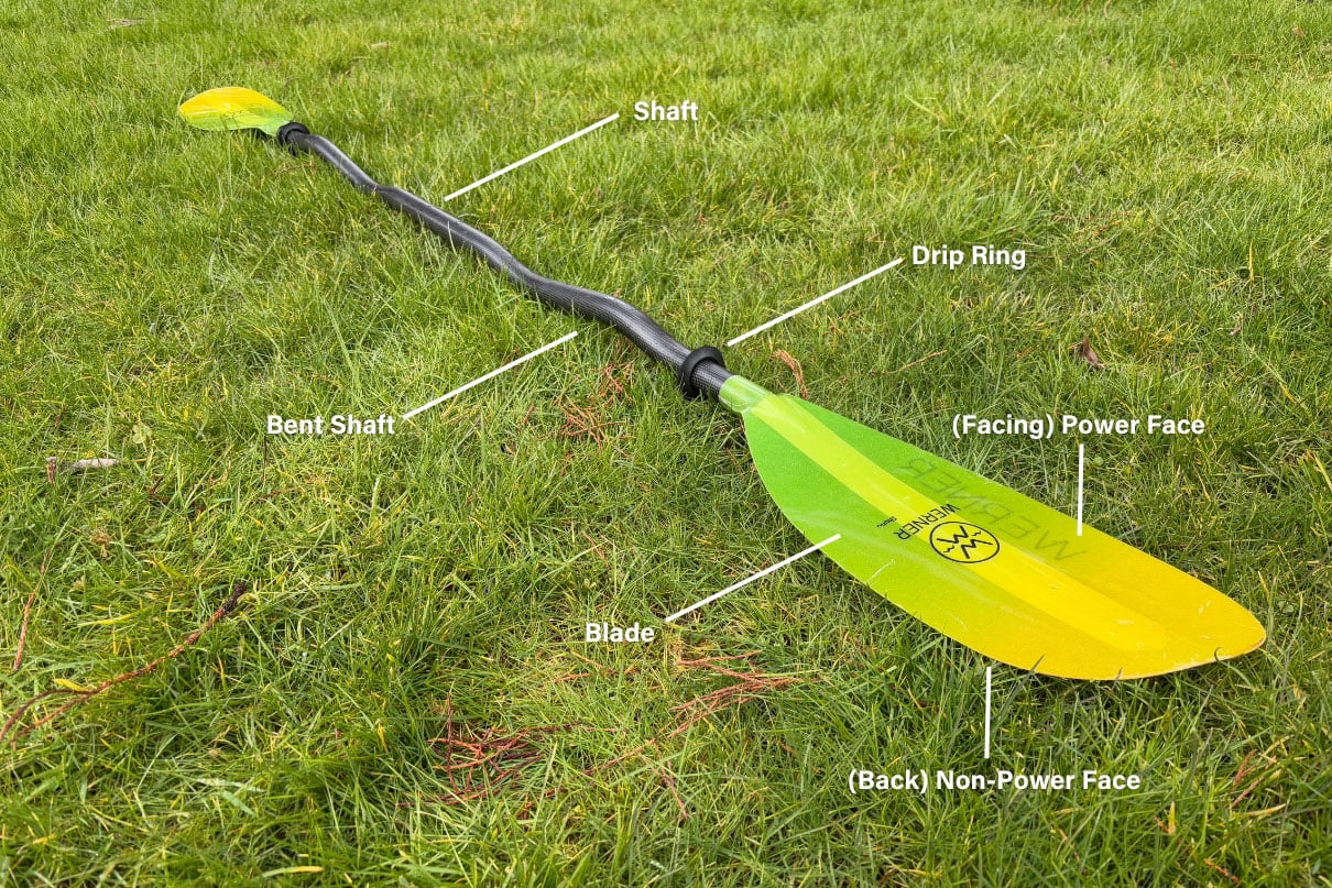 The anatomy of a kayak paddle