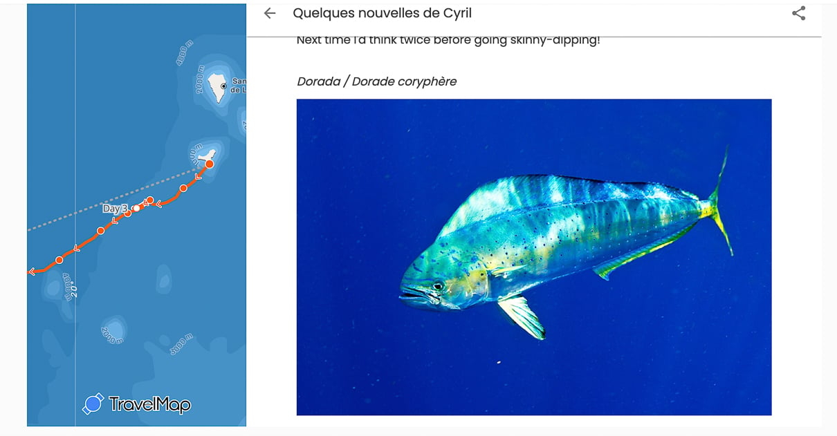 Cyril Derremaux's live tracker from the first few days of his Atlantic Ocean crossing from the Canary Islands to Martinique.