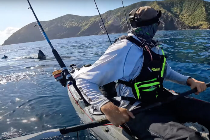 Kayak Angler Matt Wells is followed by a shark in New Zealand.