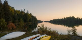 Image of sea kayaks on a shoreline in Michigan; some are registered and others are not