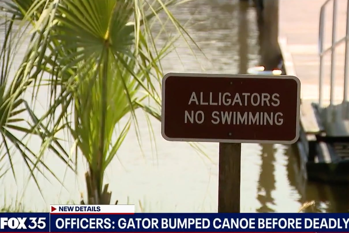 Image of a sign that reads "Alligators no swimming" on Lake Kissimee in Florida